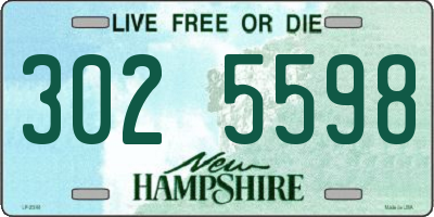 NH license plate 3025598