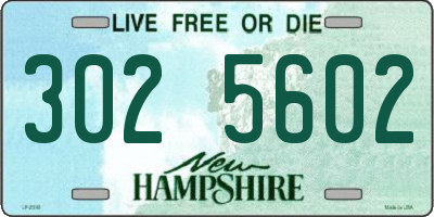 NH license plate 3025602