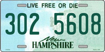 NH license plate 3025608