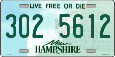 NH license plate 3025612