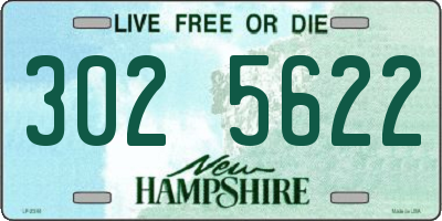 NH license plate 3025622