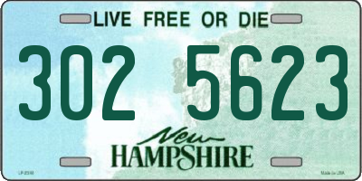 NH license plate 3025623