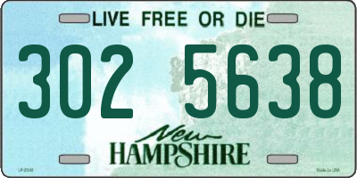 NH license plate 3025638