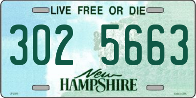NH license plate 3025663
