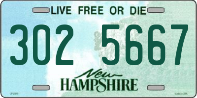 NH license plate 3025667