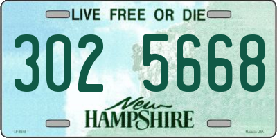 NH license plate 3025668