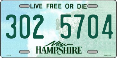 NH license plate 3025704