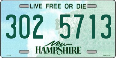 NH license plate 3025713