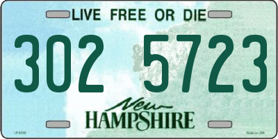 NH license plate 3025723