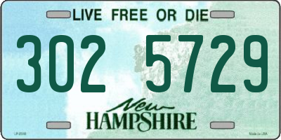 NH license plate 3025729
