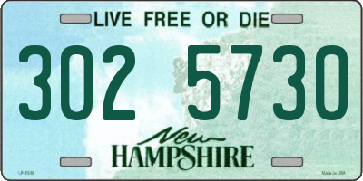 NH license plate 3025730
