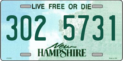 NH license plate 3025731