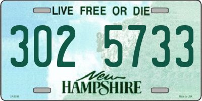 NH license plate 3025733