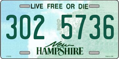 NH license plate 3025736