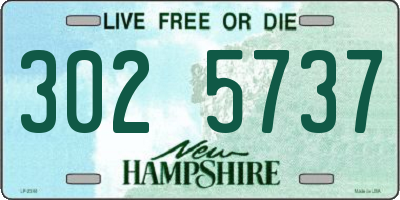 NH license plate 3025737