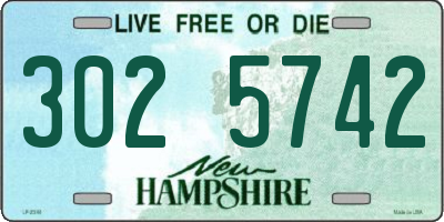 NH license plate 3025742