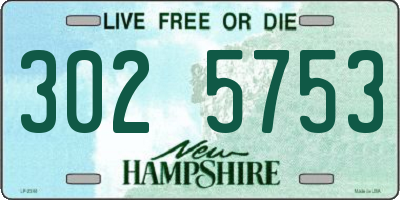 NH license plate 3025753