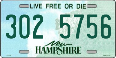 NH license plate 3025756