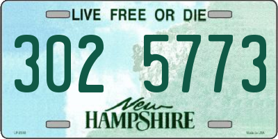 NH license plate 3025773