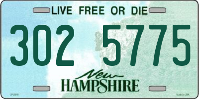 NH license plate 3025775