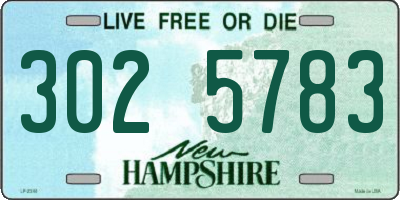 NH license plate 3025783