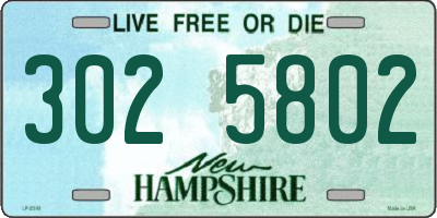 NH license plate 3025802
