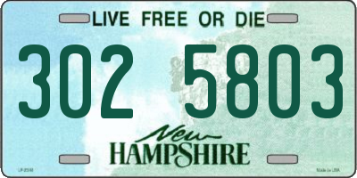 NH license plate 3025803