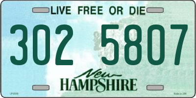 NH license plate 3025807