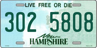 NH license plate 3025808