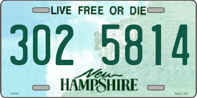 NH license plate 3025814