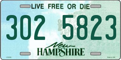 NH license plate 3025823