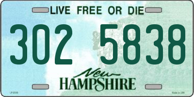 NH license plate 3025838