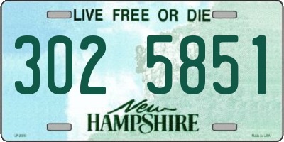 NH license plate 3025851