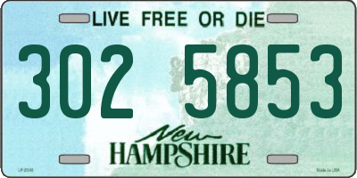 NH license plate 3025853