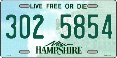 NH license plate 3025854