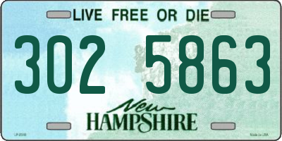 NH license plate 3025863
