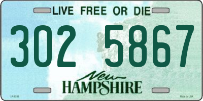 NH license plate 3025867
