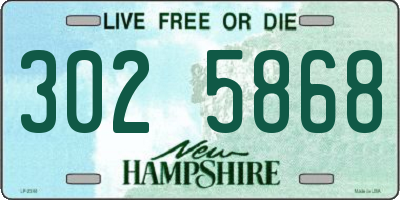 NH license plate 3025868