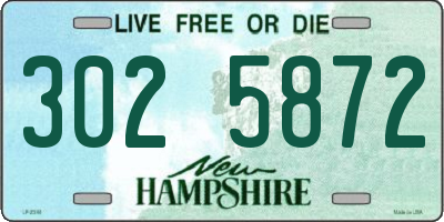 NH license plate 3025872