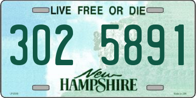 NH license plate 3025891
