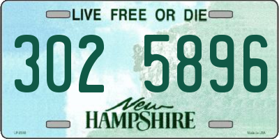 NH license plate 3025896