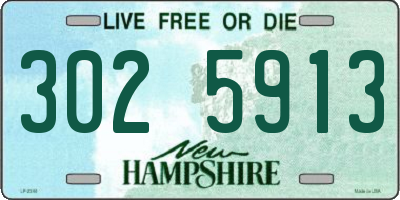 NH license plate 3025913