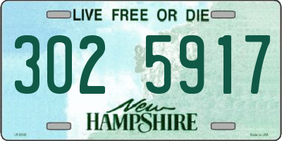 NH license plate 3025917