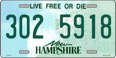 NH license plate 3025918