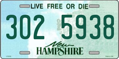 NH license plate 3025938