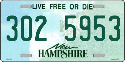 NH license plate 3025953