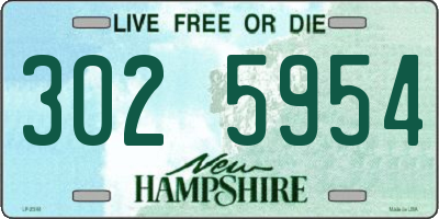 NH license plate 3025954