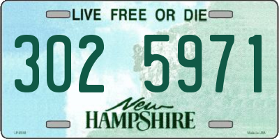 NH license plate 3025971
