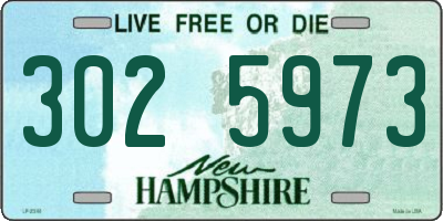 NH license plate 3025973
