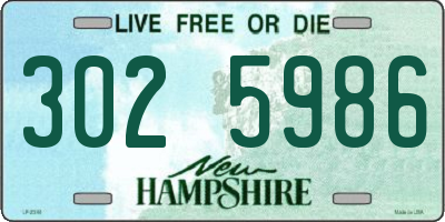 NH license plate 3025986